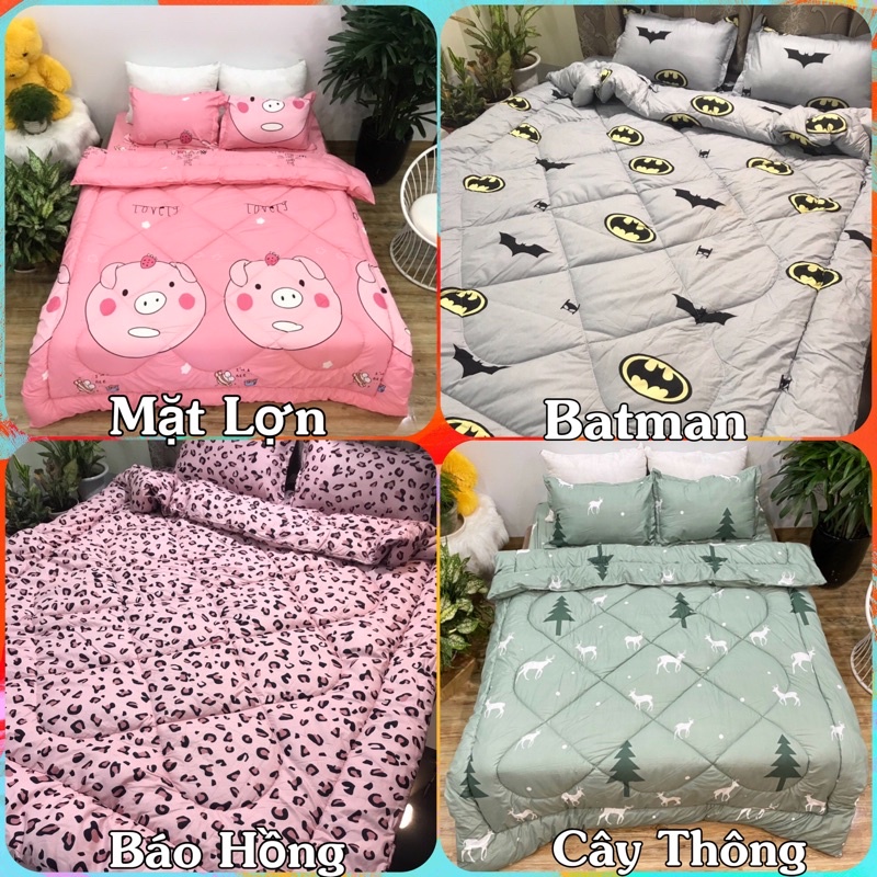 Trọn bộ chăn phao ga gối poly cotton ( nhiều mẫu)