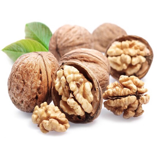 1kg óc chó rừng sapa quả to nhân mẩy