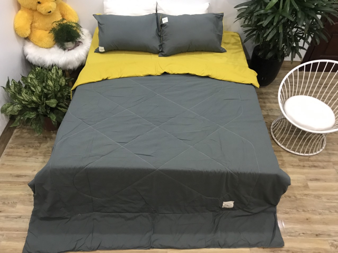 Bộ chăn ga gối cotton tici