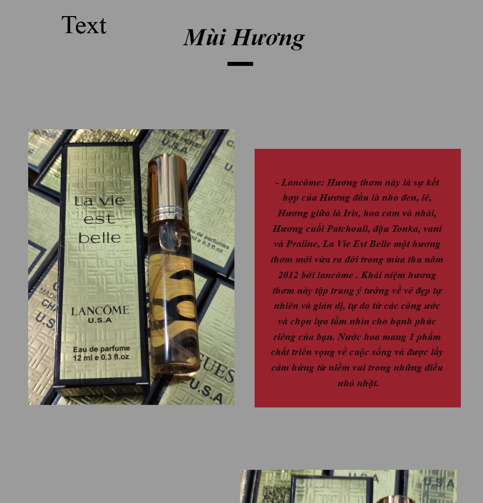 NƯỚC HOA CHIẾT USA 12ml ( Có Dạng Lăn và Xịt )