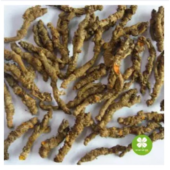 Hoàng liên sấy khô 100gram -EG081