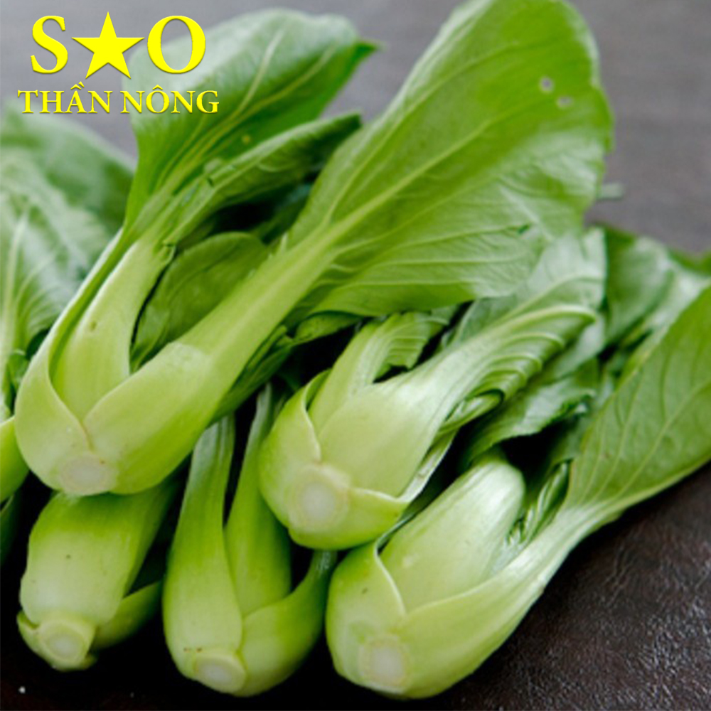 Hạt giống cải chíp 5g cao sản