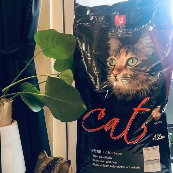 Hạt Cat Eye, Thức Ăn Hạt Cho Mèo, Túi Chiết 1kg