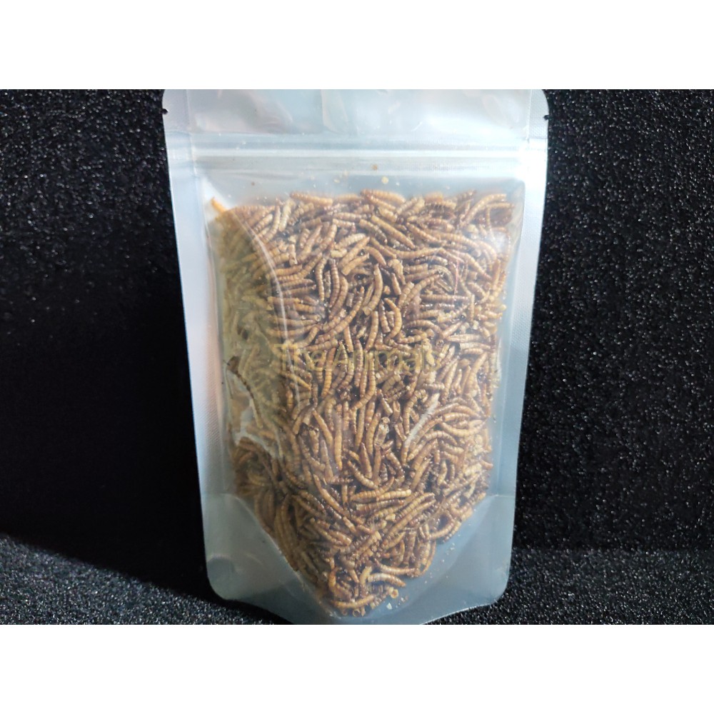 Sâu Super Worm sấy thơm cho hamster, chim, cá, nhím,... (100gram)