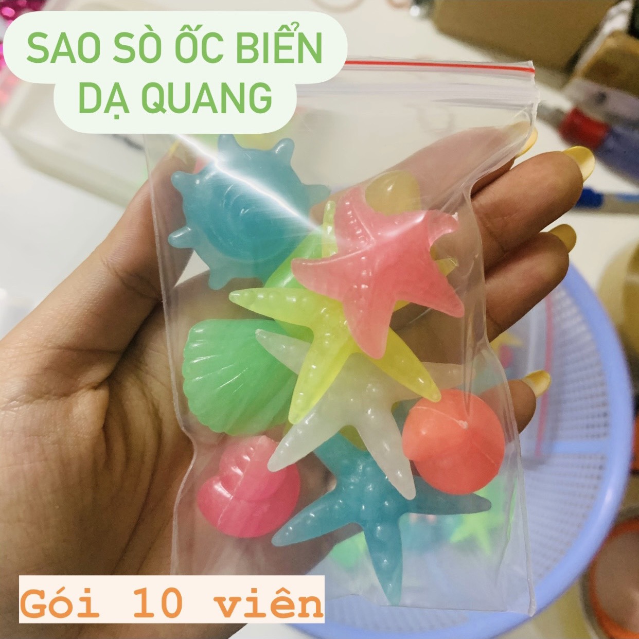 [HCM]Gói 10viên Sỏi Phát Quang SaoỐc Sò Biển (Sáng Trong Bóng Tối) Trang Trí Hồ Cá Sân Vườn...
