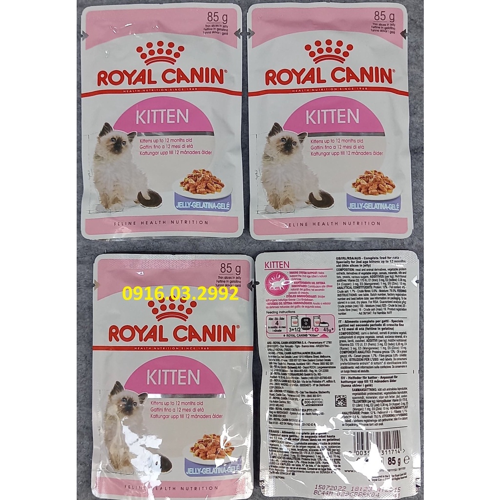 Pate cho mèo con Royal Canin Kitten