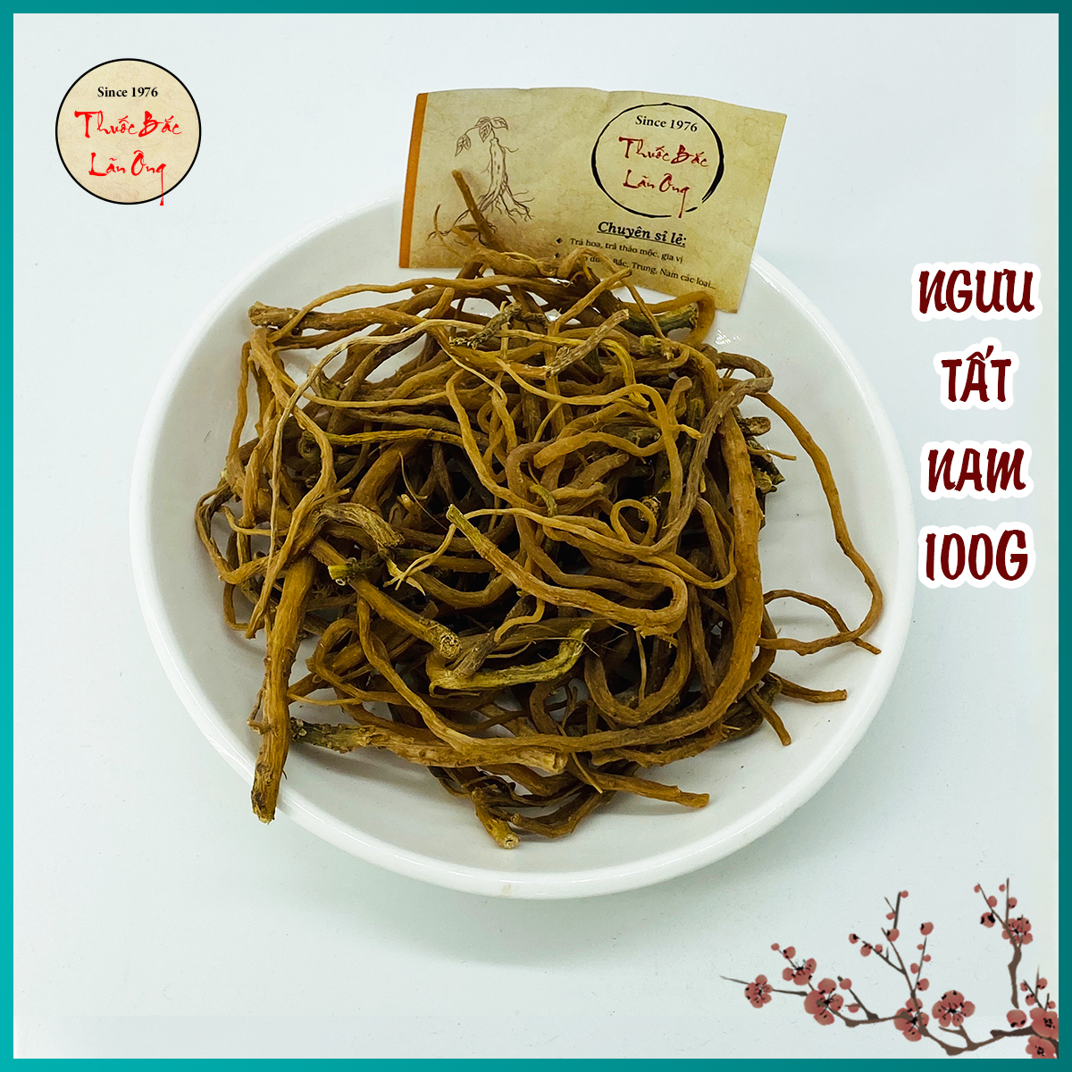 Ngưu Tất Nam 100g Hàng Loại 1, Bồi Bổ Gan Thận, Lưu Thông Khi Huyết