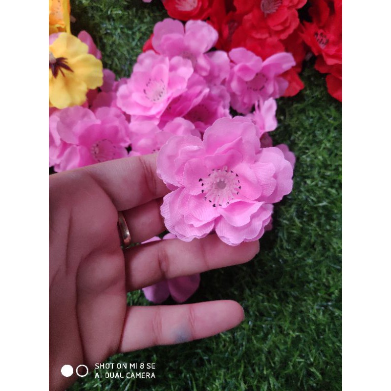 hoa đào rời loại đẹp