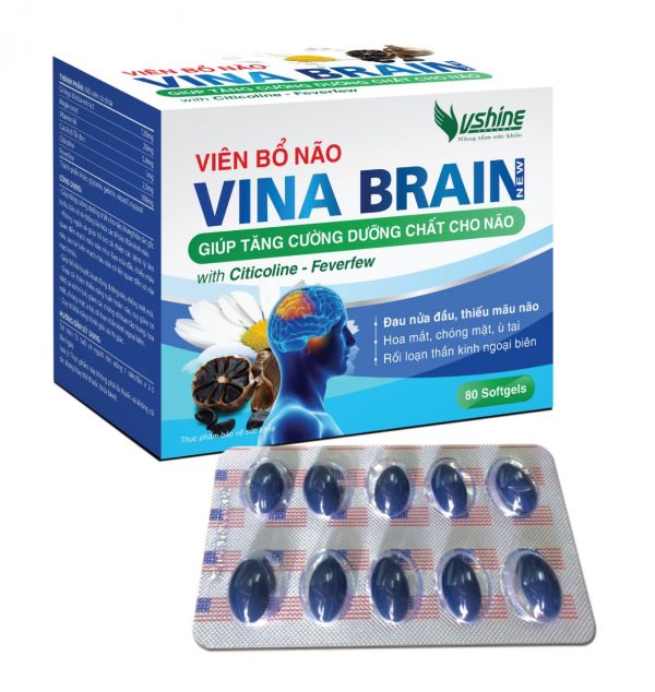 VIÊN BỔ NÃO VINA BRAIN New