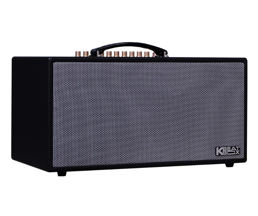 Loa Karaoke di động Acnos NL4501