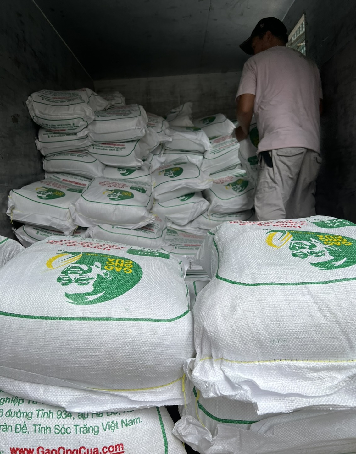 (Chính hãng) Gạo ST25 Lúa Tôm - Hiệu ông Cua có mã QR (Túi 5kg)