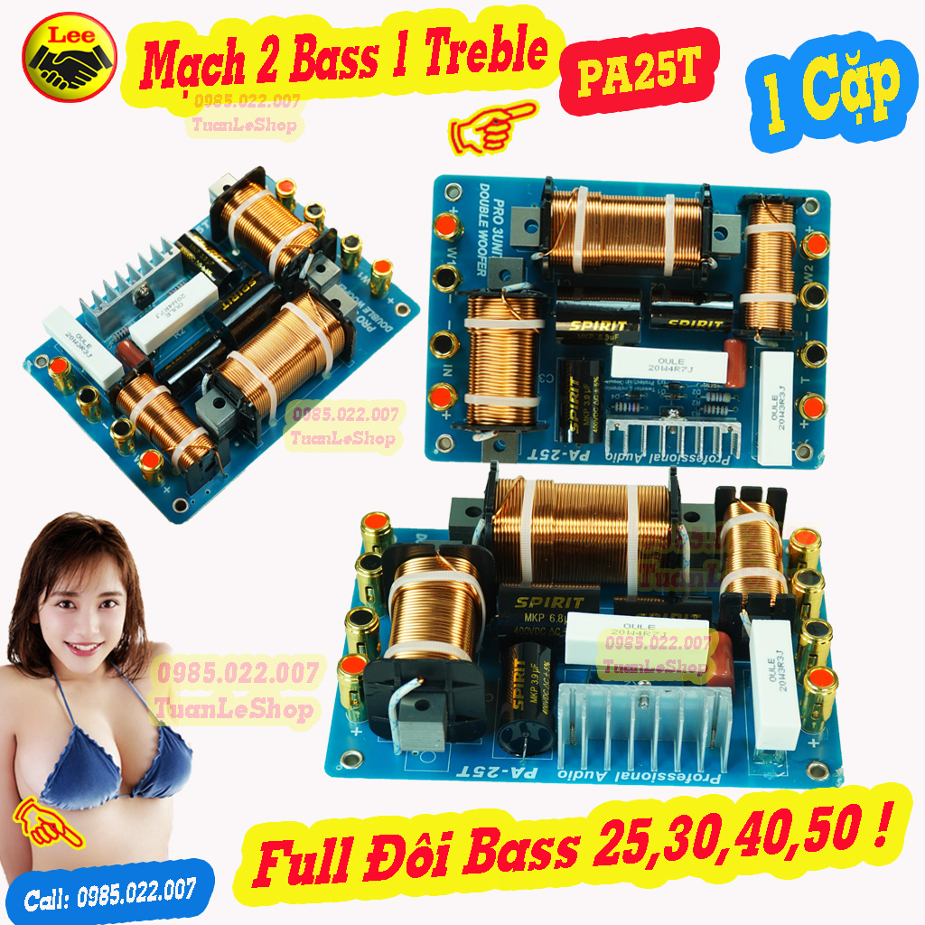 MẠCH FULL ĐÔI BASS 40,50 - MẠCH PHÂN TẦN 2 BASS 1 TREBLE PA25T  - GIÁ 2 MẠCH - MẠCH LOA BASS ĐÔI CÔNG SUẤT LỚN