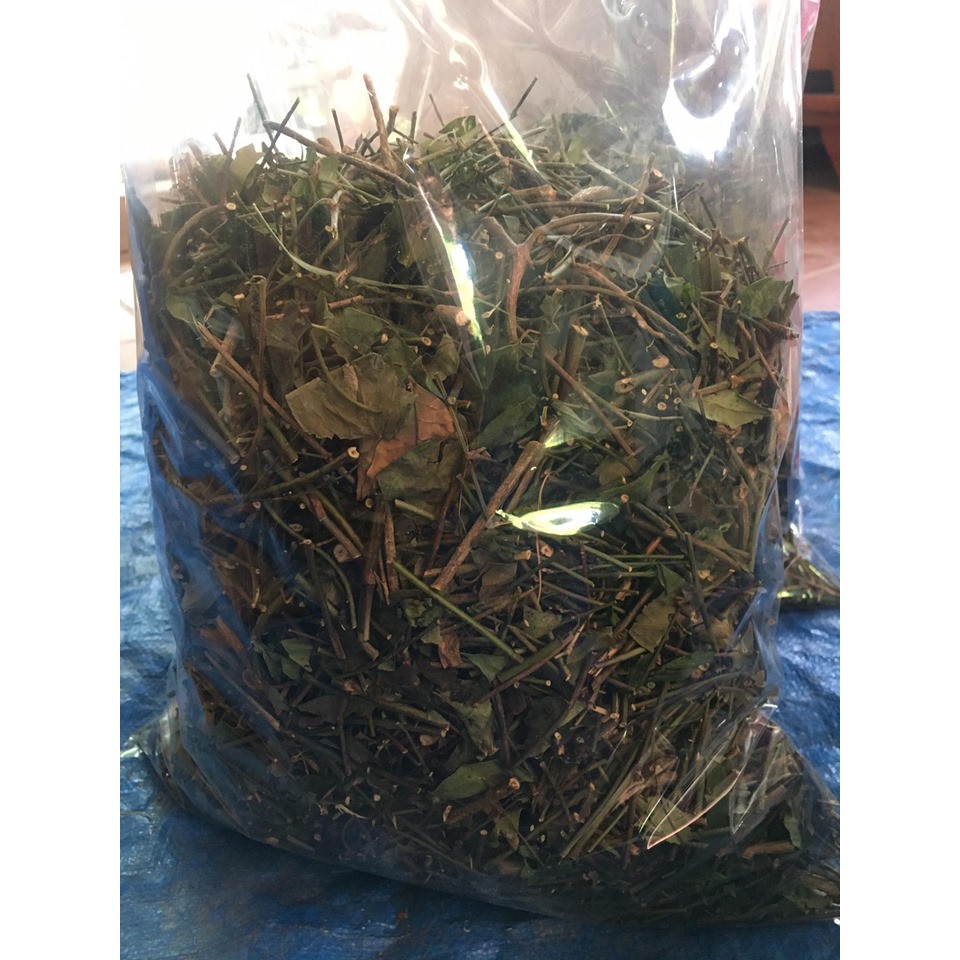 1kg Chè vằng lợi sữa, giảm cân