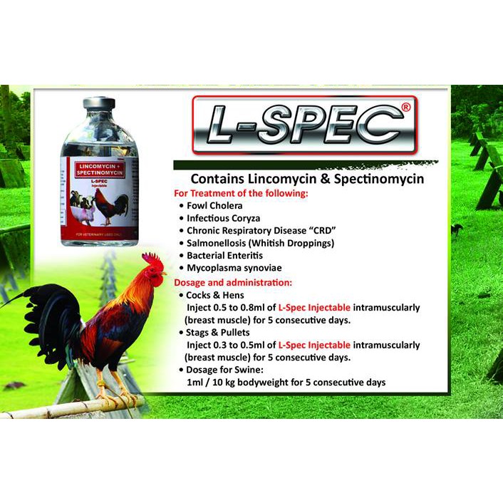 L - SPEC excellence khò khè xổ mũi dành cho gà đá 100ml