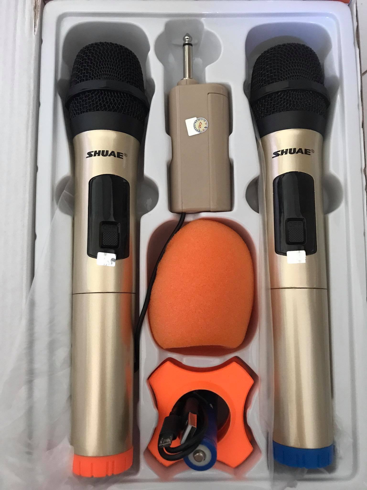 bộ micro không dây Shure 5.5