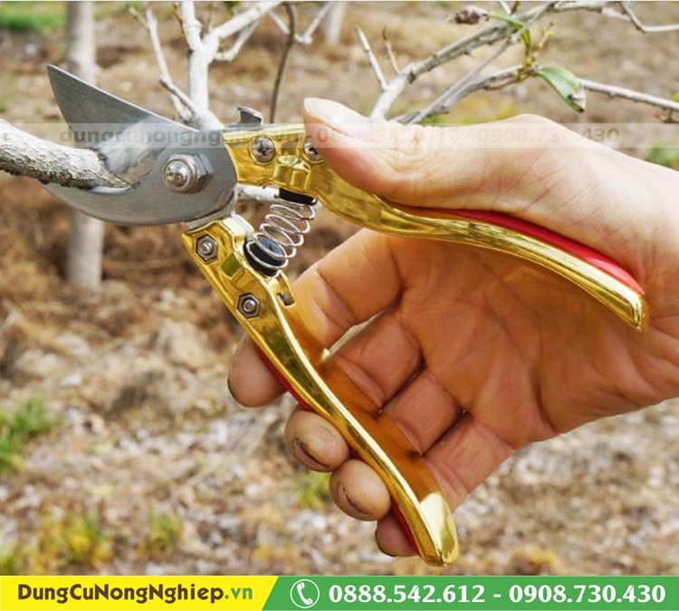 Kéo cắt cành mạ óng ánh
