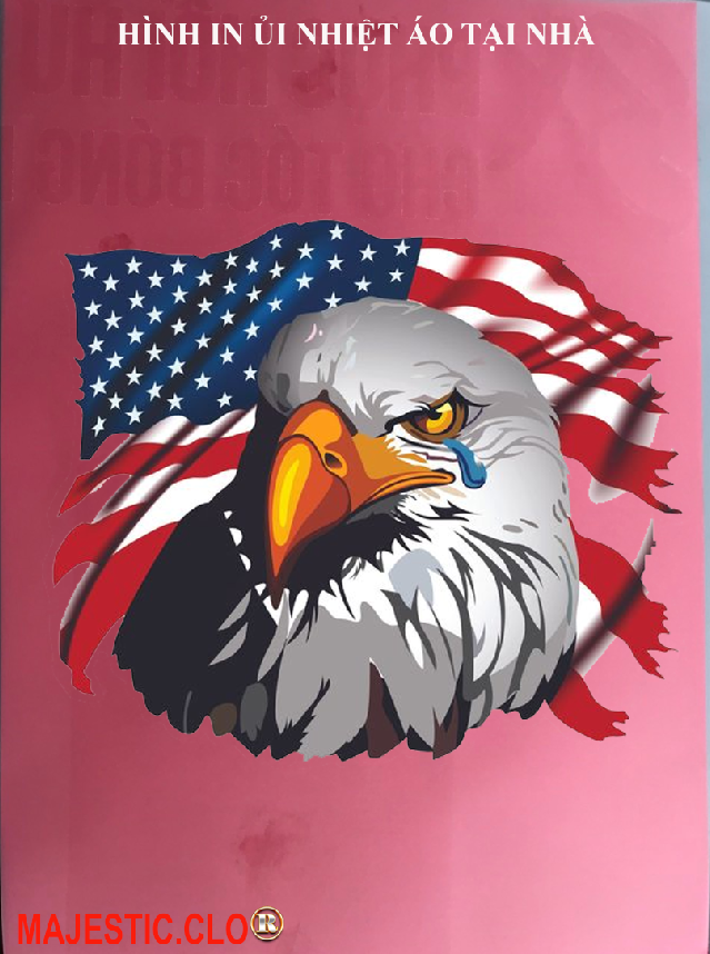eagle american