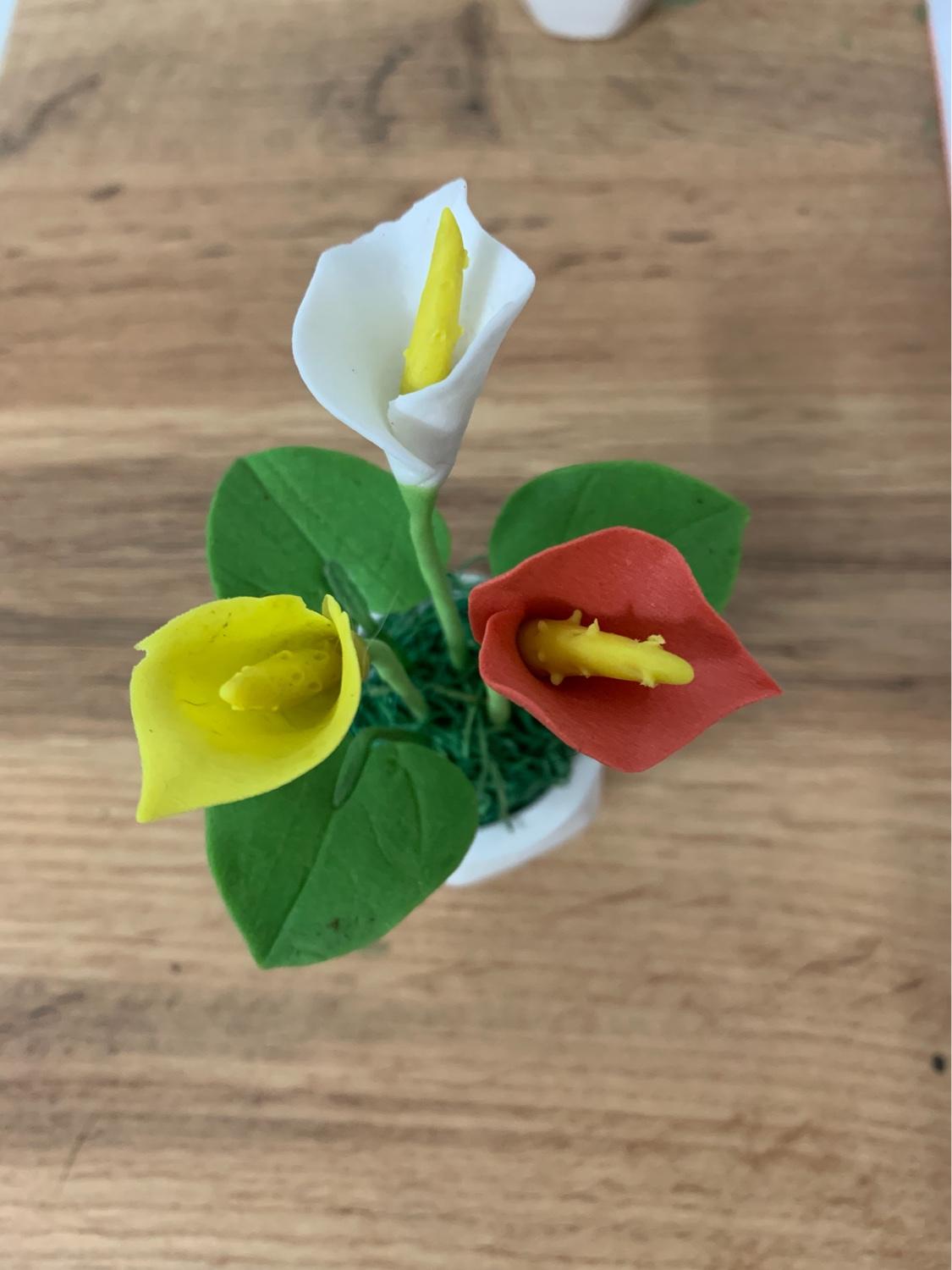 [HCM]Chậu hoa đất sét mini thủ công handmade