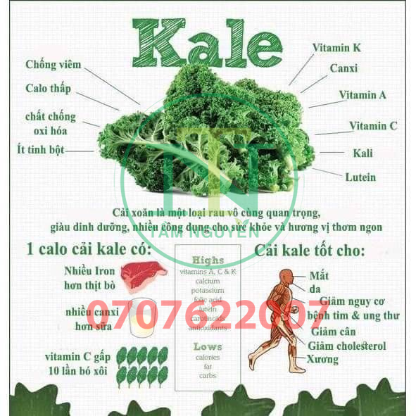 Mì cải Kale Organic 500g-Hàng Công Ty Isito