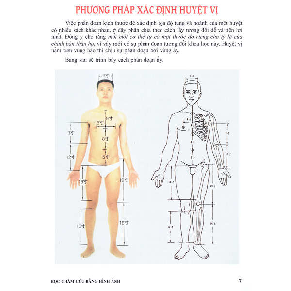 Học Châm Cứu Bằng Hình Ảnh