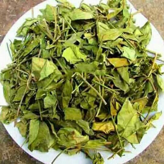 Sỉ 1kg dây thìa canh