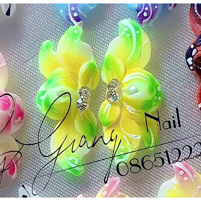 Hoa bột nail _ hoa nail đính móng