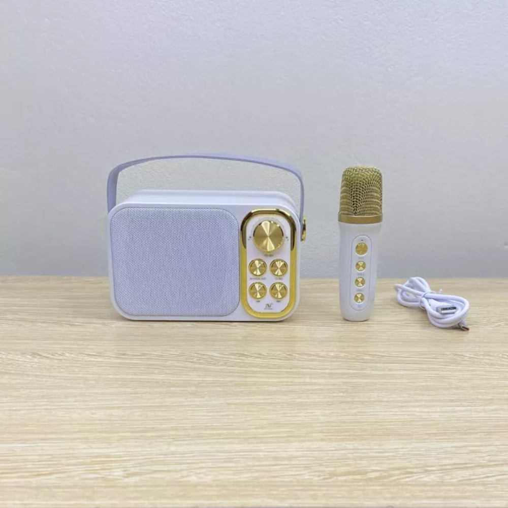 Bluetooth speaker with mic ys103 ys105 wireless microphone with mic body function keys