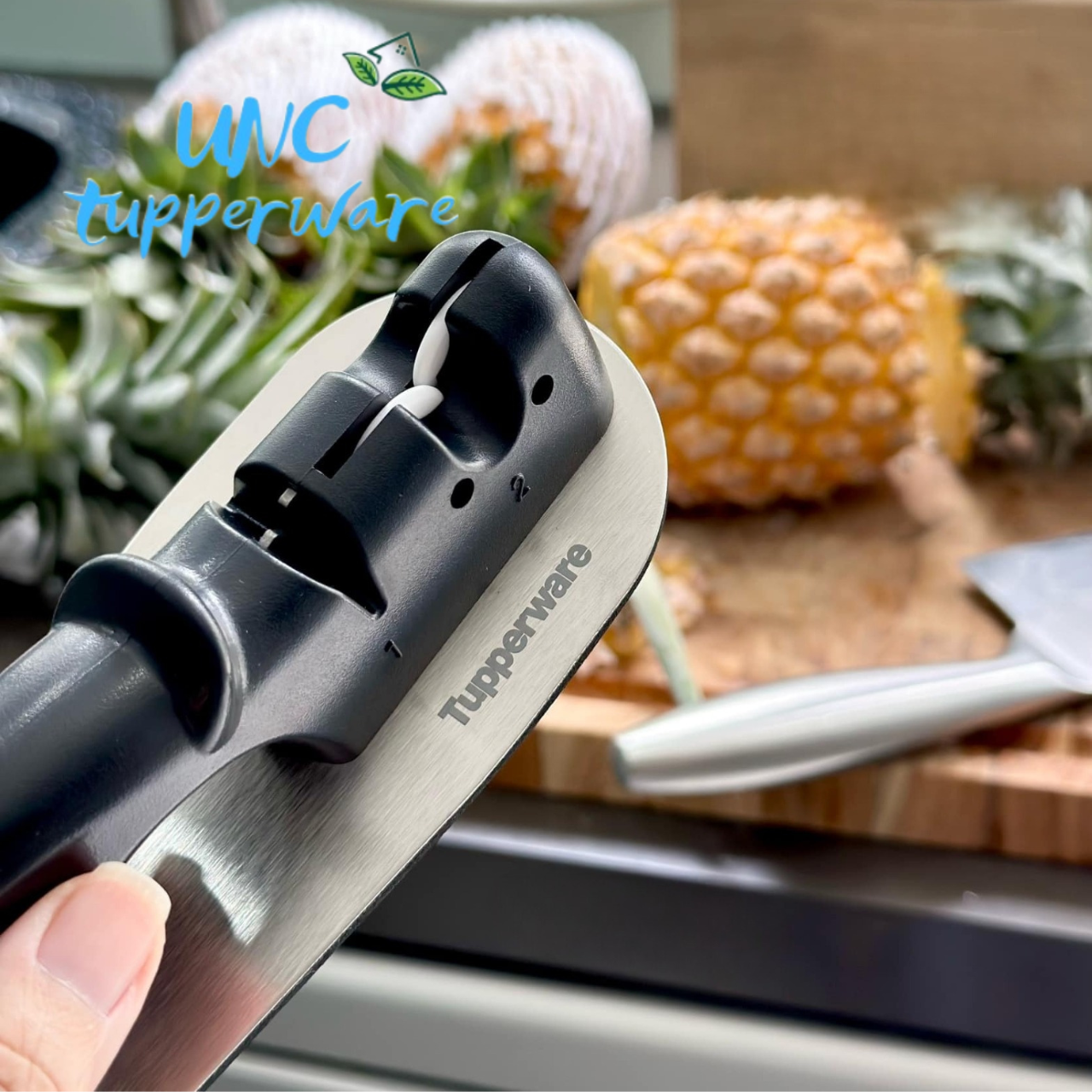 Dụng cụ mài dao Tupperware Pro- Asian