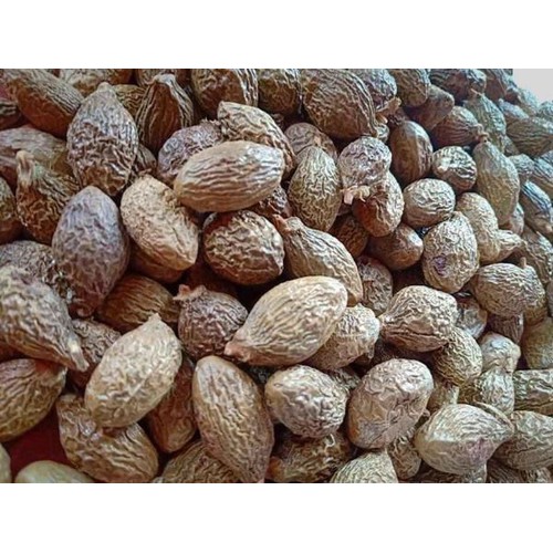 Nở Đều- Hạt Đười Ươi Bay 100Gram