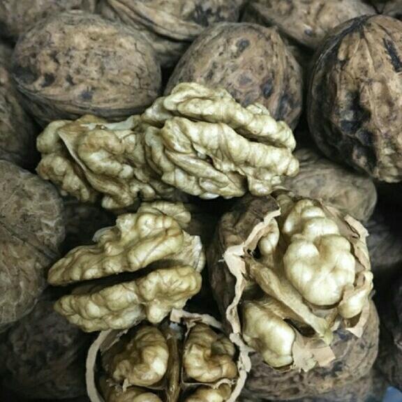1kg quả óc chó rừng