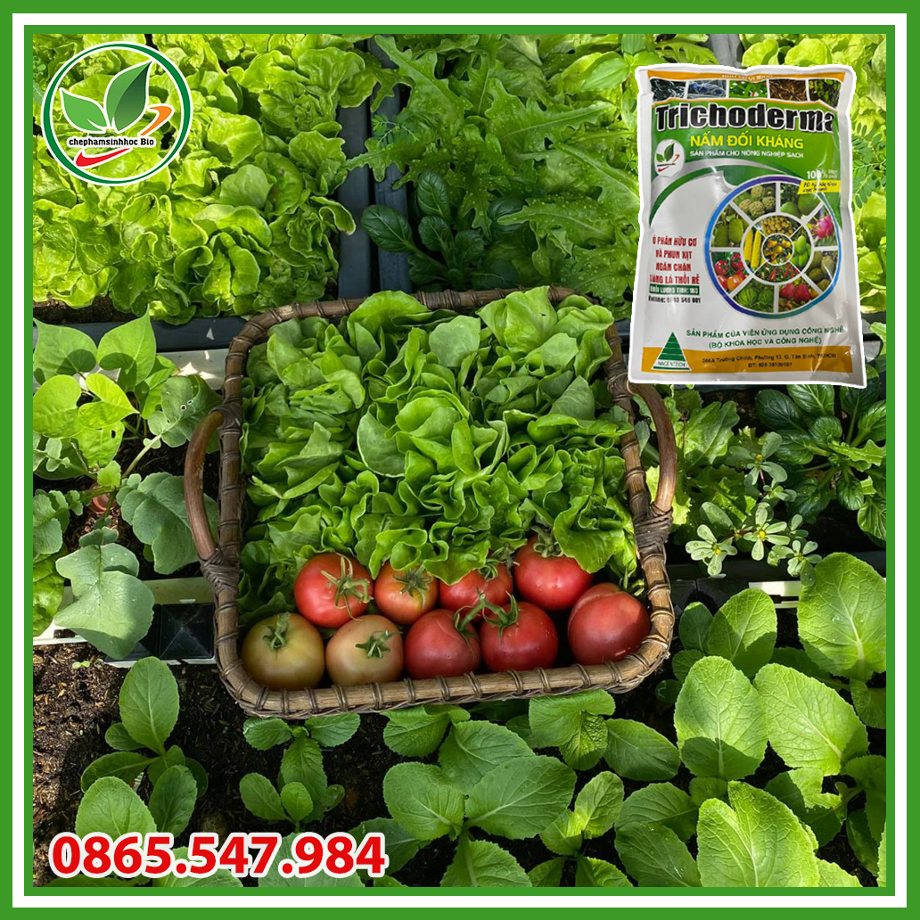Nấm ủ Trichoderma dạng bào tử chịu nhiệt cao cấp. Túi 1kg