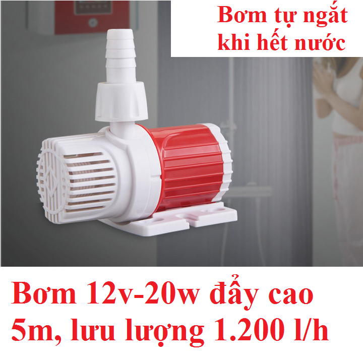 [HCM]Bơm 12v Không chổi than đẩy cao 5m