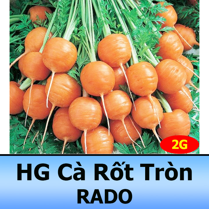 Hạt Giống Cà Rốt Củ Tròn 2Gr Nhiều Dinh Dưỡng