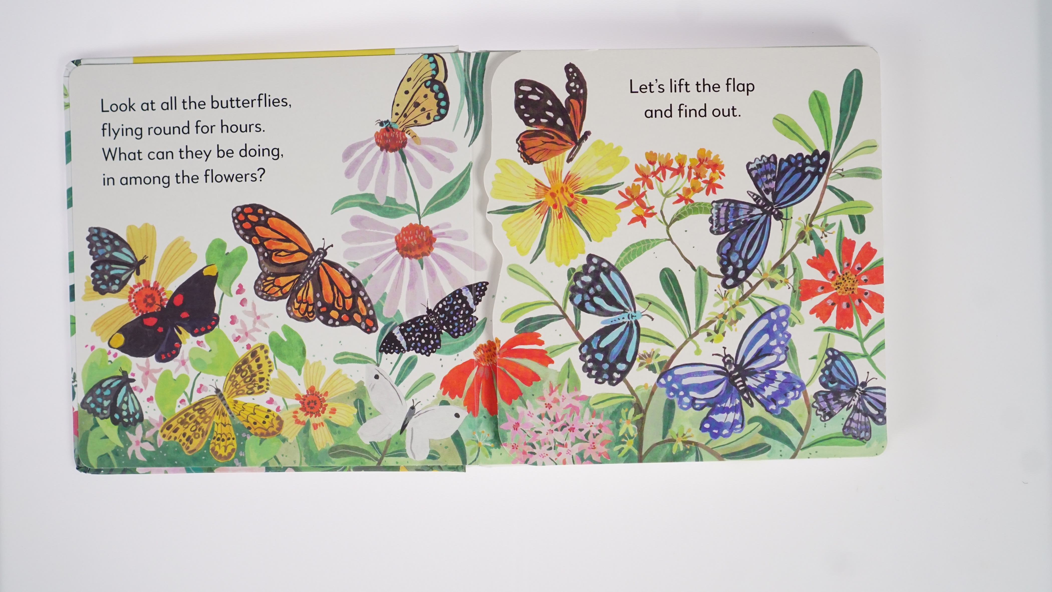 Pop-Up Peekaboo! Butterfly