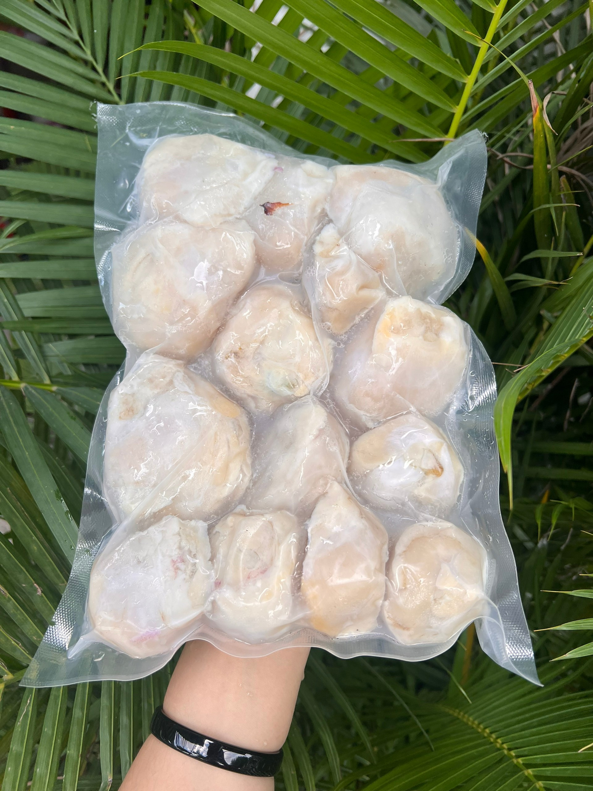 Răng Mực Đại Dương Size To Siêu Ngon (Chọn Giao Hàng 2h giúp shop )