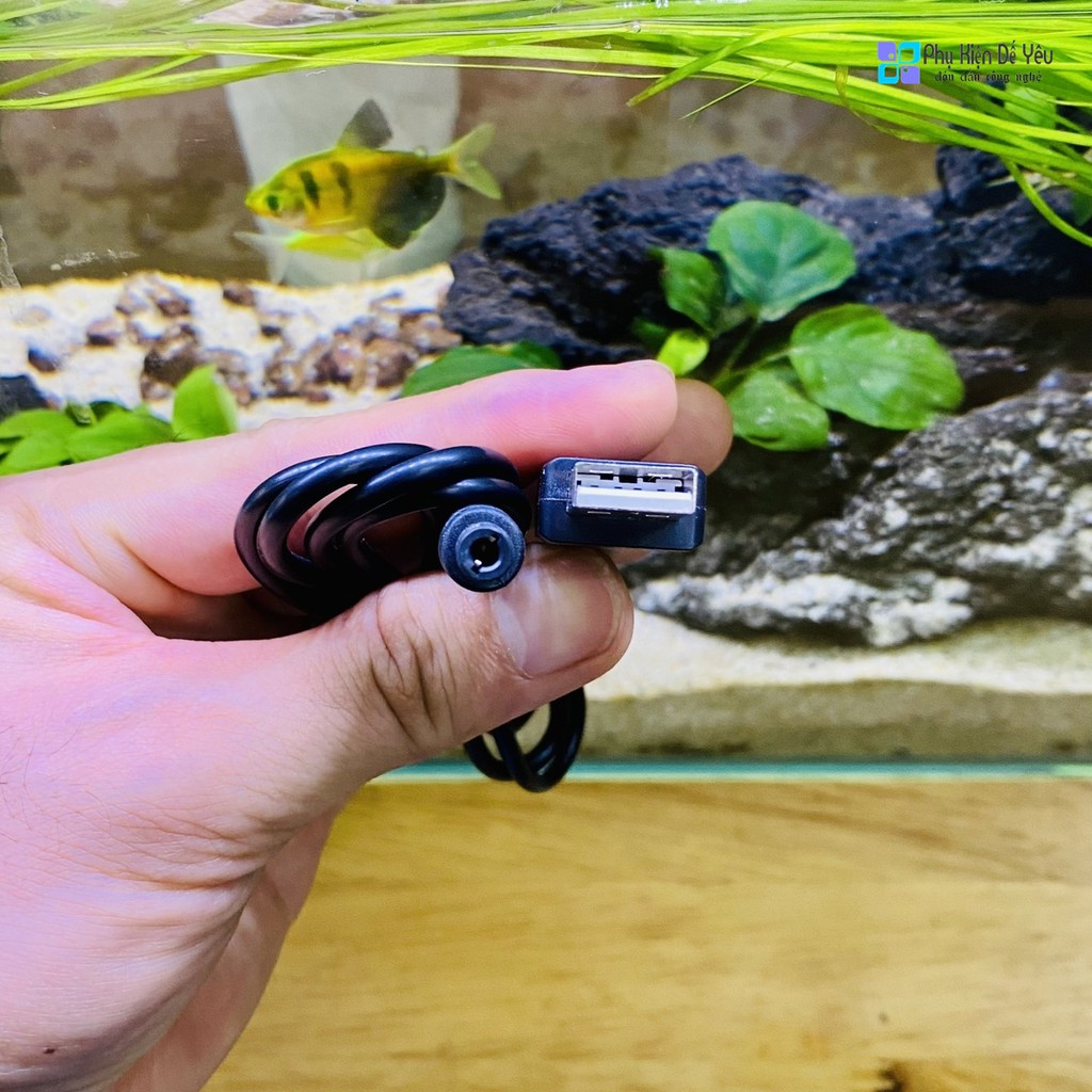 Cáp chuyển đổi nguồn USB DC 5V sang DC 12V (5.5x2.1mm) [ĐÈN BÁO LED]