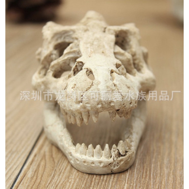 Xương khủng long trang trí bể cá bể thuỷ sinh