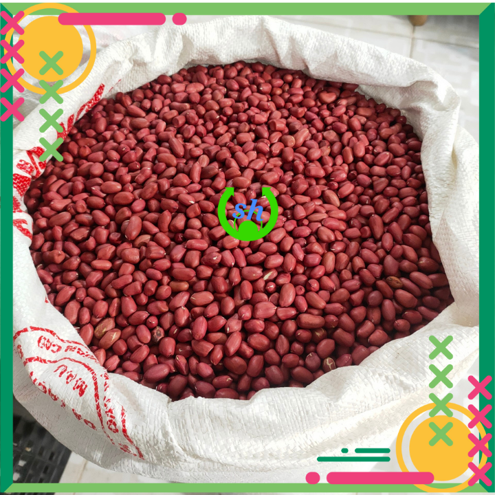 Lạc đỏ rang sẵn - 200gr- lạc bóc tay- đậu phộng rang