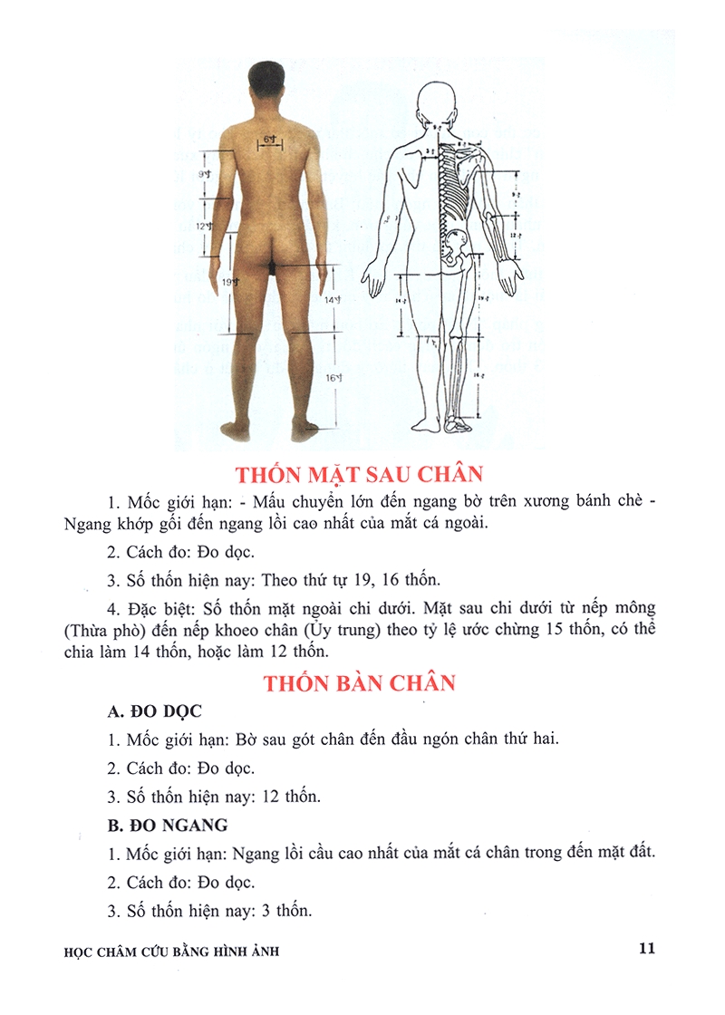 Học châm cứu bằng hình ảnh