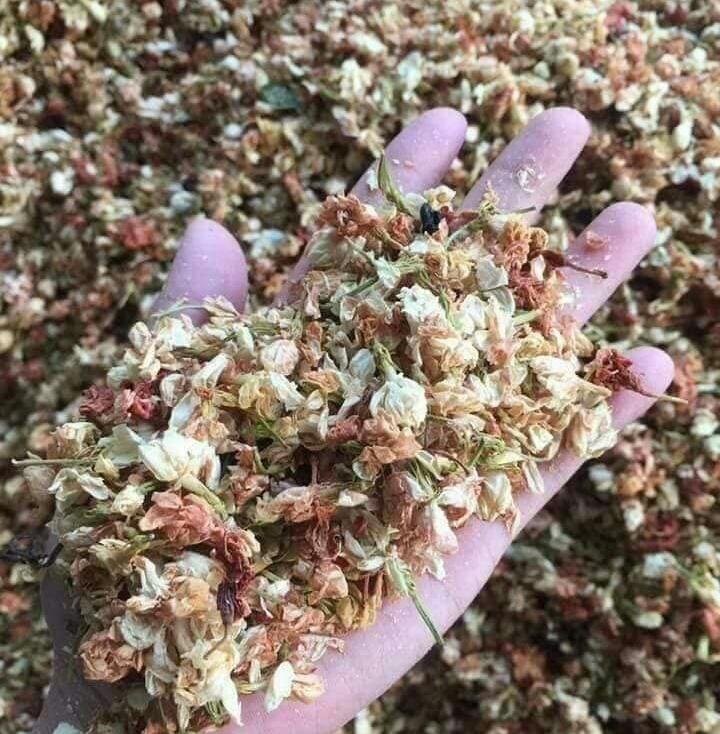 HOA TRÀ BÁT TIÊN 1KG