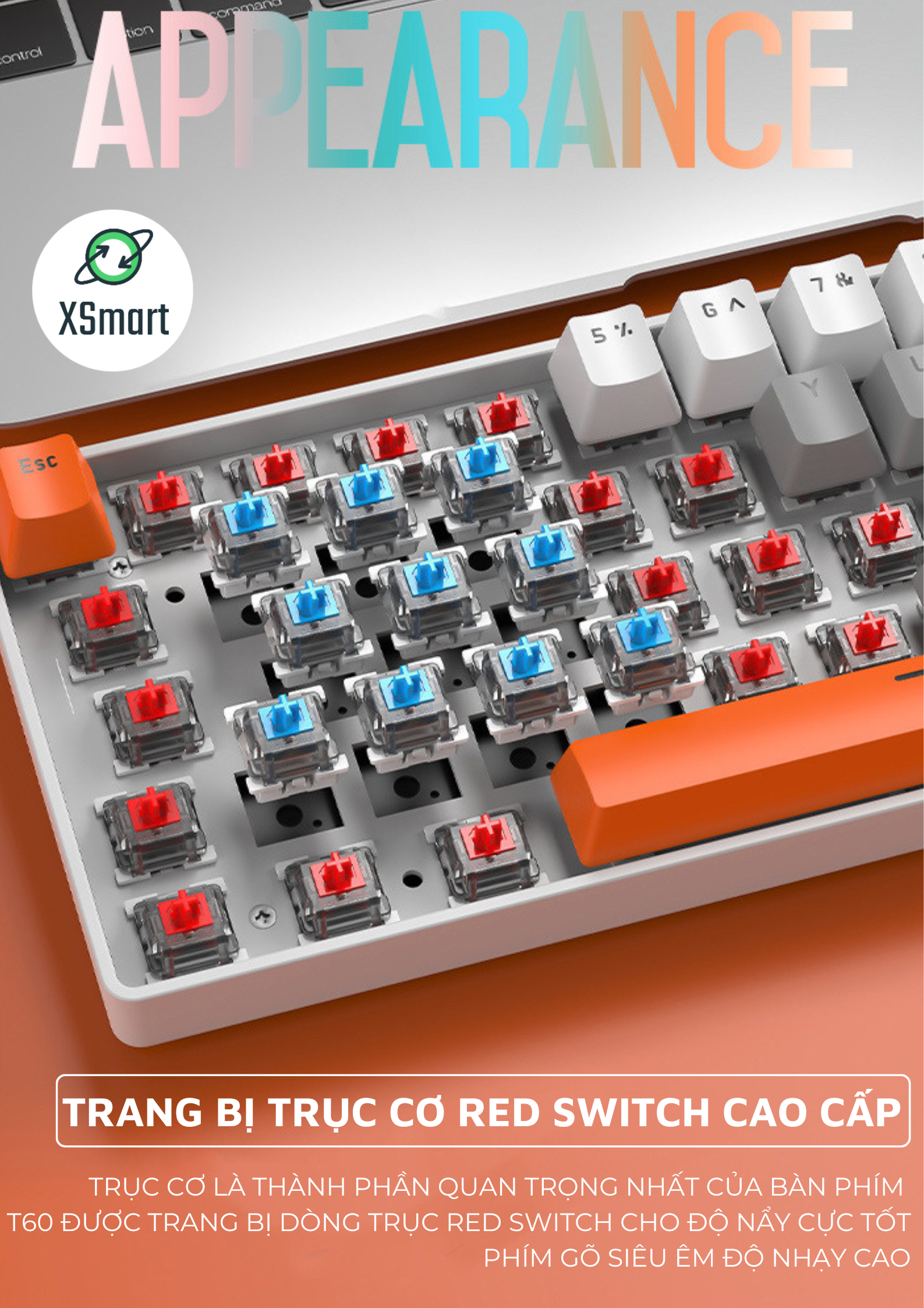 Bàn Phím Cơ RGB Led 18 Chế Độ Có Dây T60 Trục Cơ Red Switch Gõ Êm Giảm Ồn Layout 62 Phím Nhỏ Gọn Có HOTSWAP Cao Cấp Dùng Cho Máy Tính/ Laptop/ PC