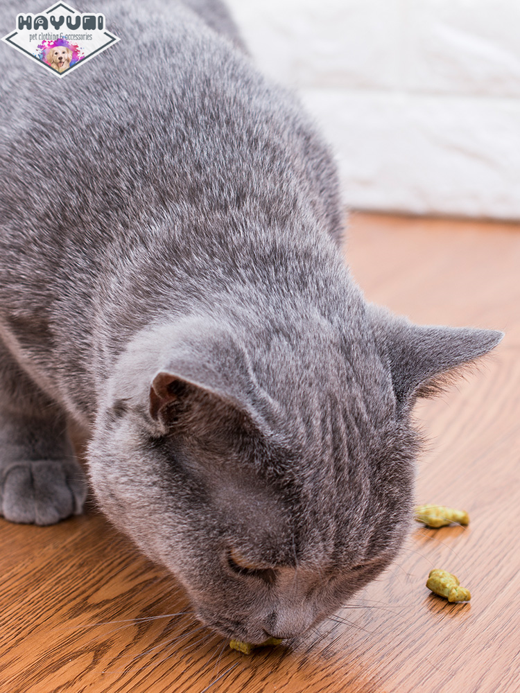 BÁNH QUY CATNIP DÀNH CHO MÈO