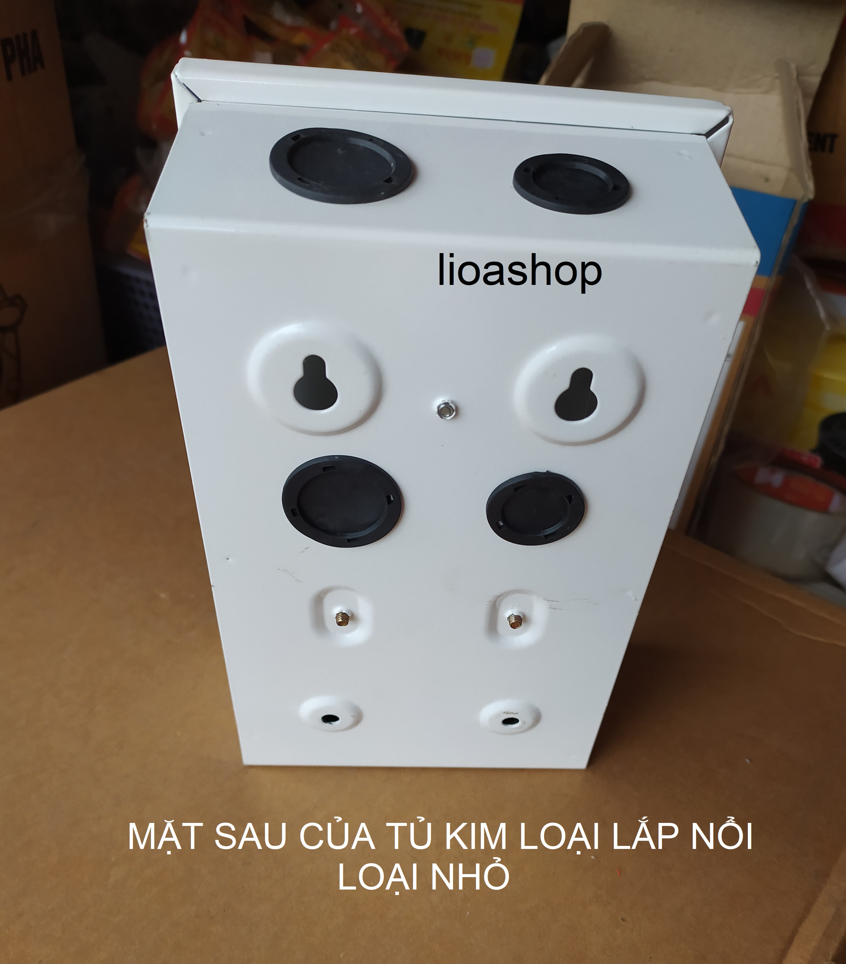 TỦ ĐIỆN KIM LOẠI LiOA LẮP NỔI - LOẠI NHỎ