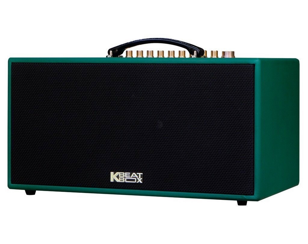 Loa Karaoke Di Động Acnos CS445D