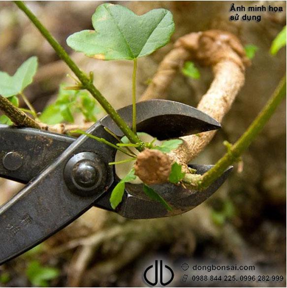 Kìm cạp xéo thép trắng Ryuga RS-06
