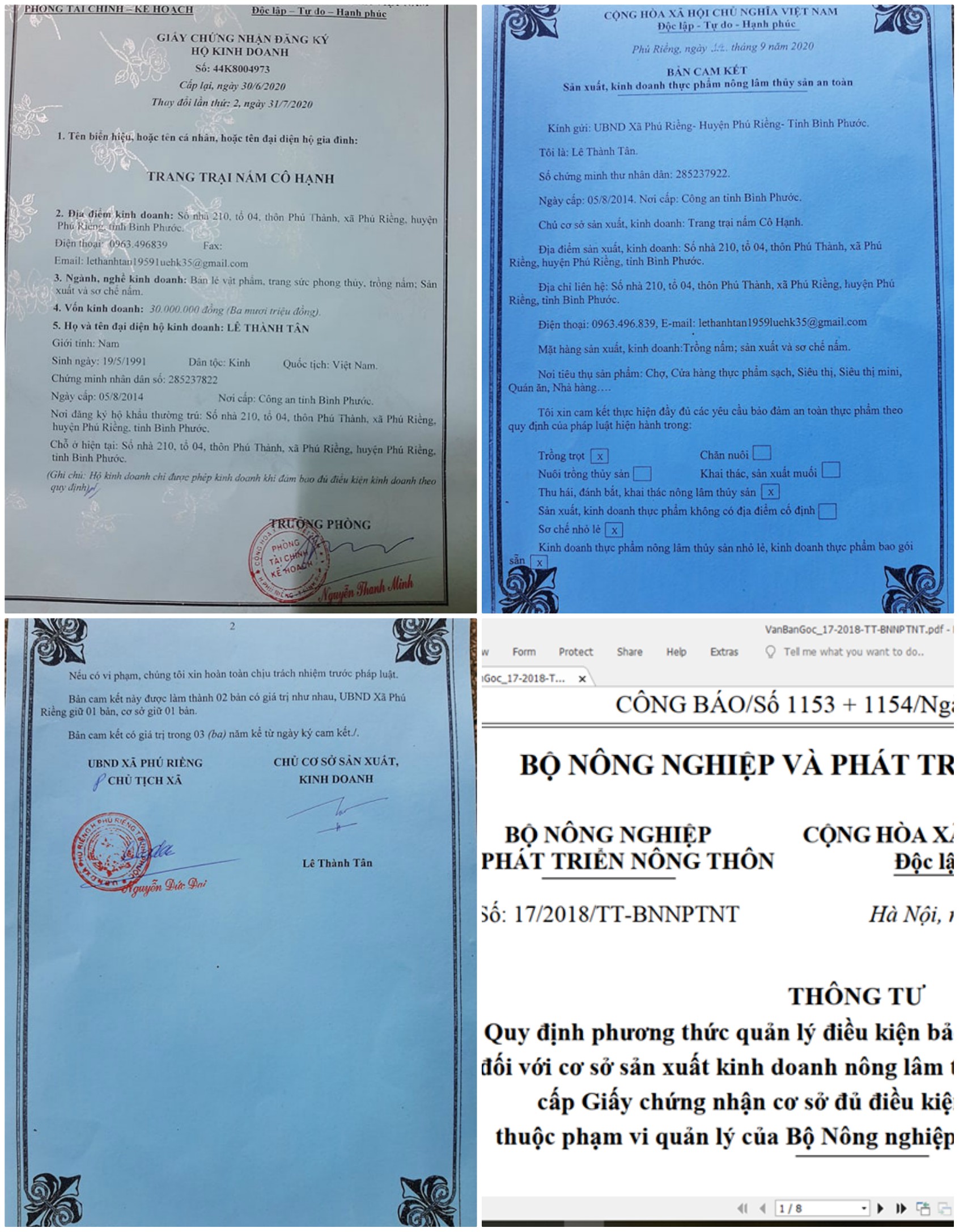 Nấm bào ngư xám sấy khô 100 gram.
