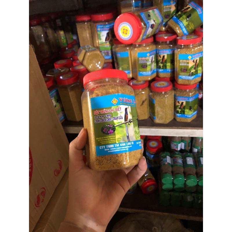 CÁM VƯƠNG LONG THAN LỬA DẠNG BỘT ( 300g)