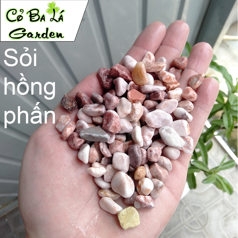 Sỏi Suối 500gr để trải mặt cây, hoặc lót bể cá