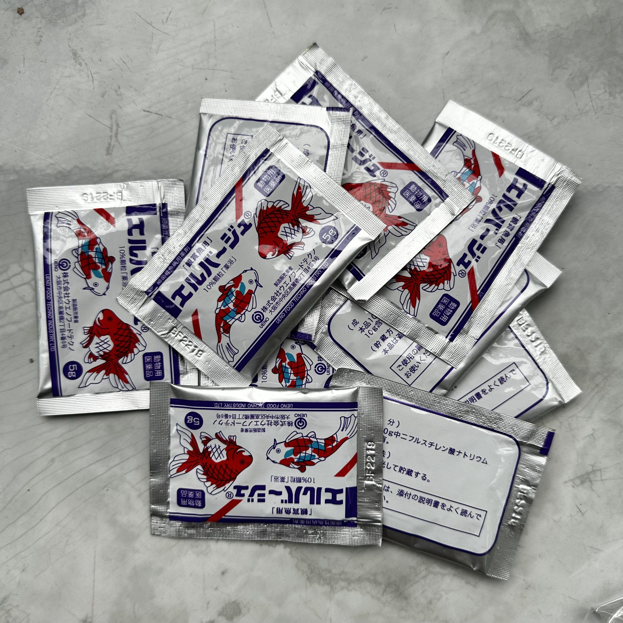 Tetra Nhật trị nấm ở cá cảnh