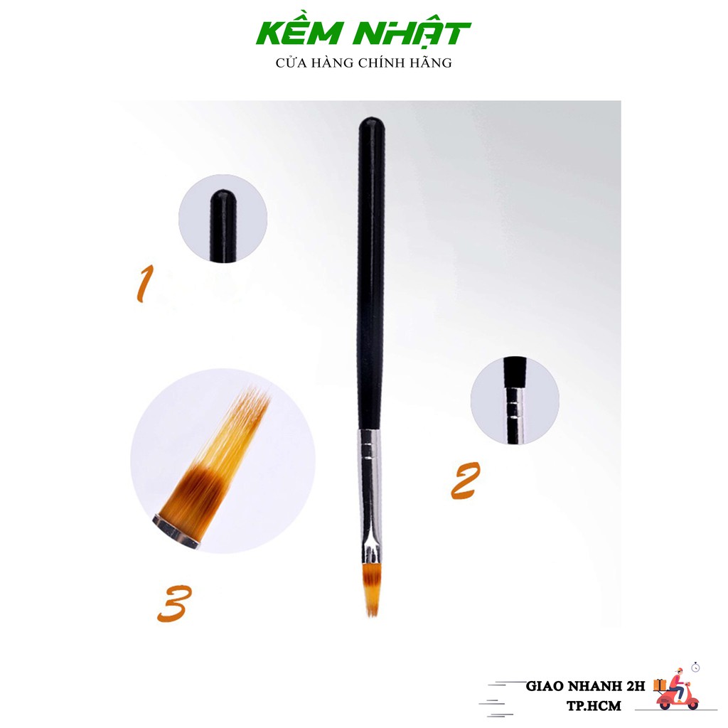 [HCM]Cọ Ombre Cán Gỗ Mái Thưa